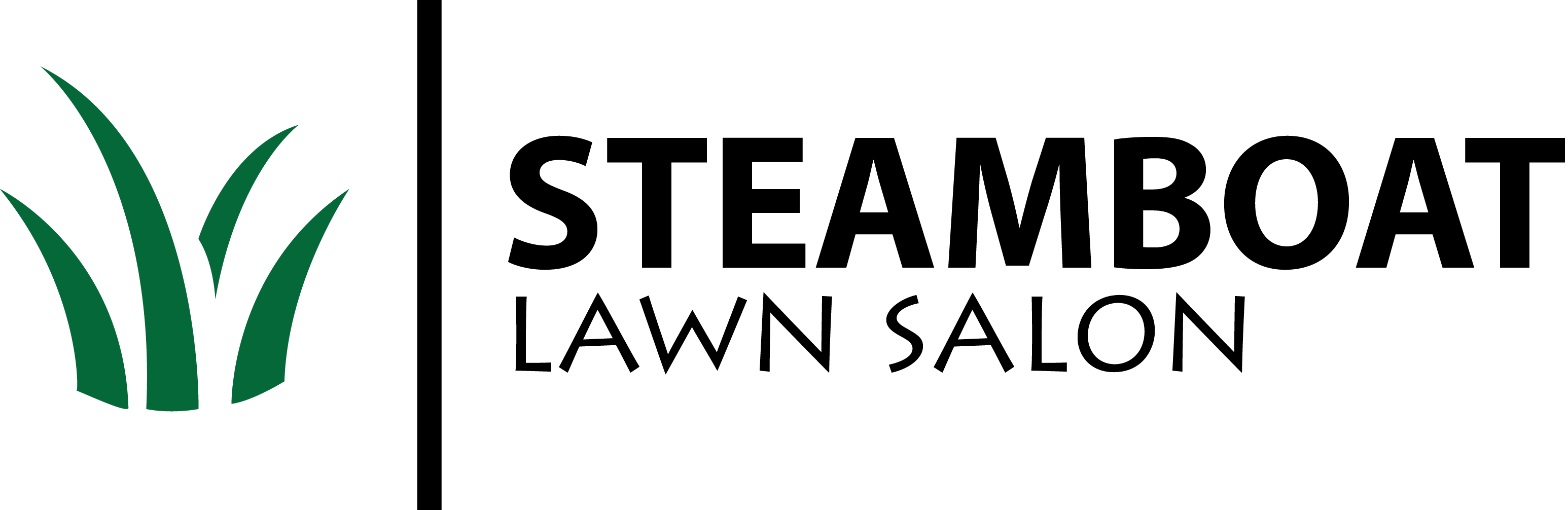 Steamboat Lawn Salon